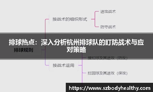 排球热点：深入分析杭州排球队的盯防战术与应对策略