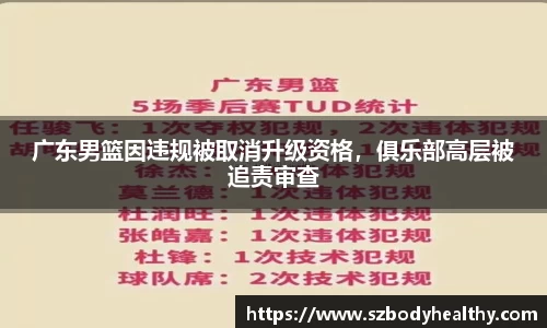 广东男篮因违规被取消升级资格，俱乐部高层被追责审查