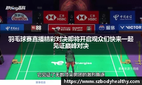 羽毛球赛直播精彩对决即将开启观众们快来一起见证巅峰对决