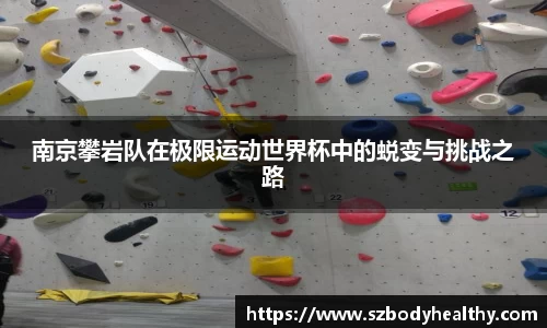 南京攀岩队在极限运动世界杯中的蜕变与挑战之路