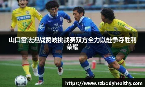 k1体育