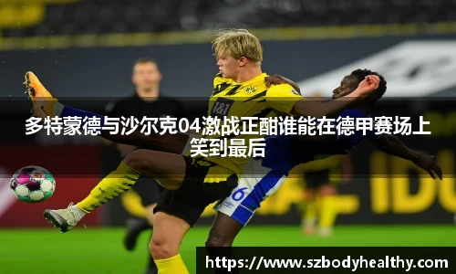 多特蒙德与沙尔克04激战正酣谁能在德甲赛场上笑到最后