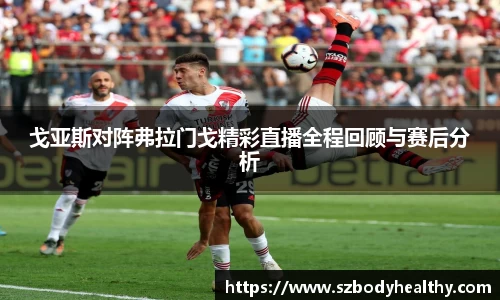 戈亚斯对阵弗拉门戈精彩直播全程回顾与赛后分析