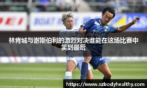 k1体育官方网站